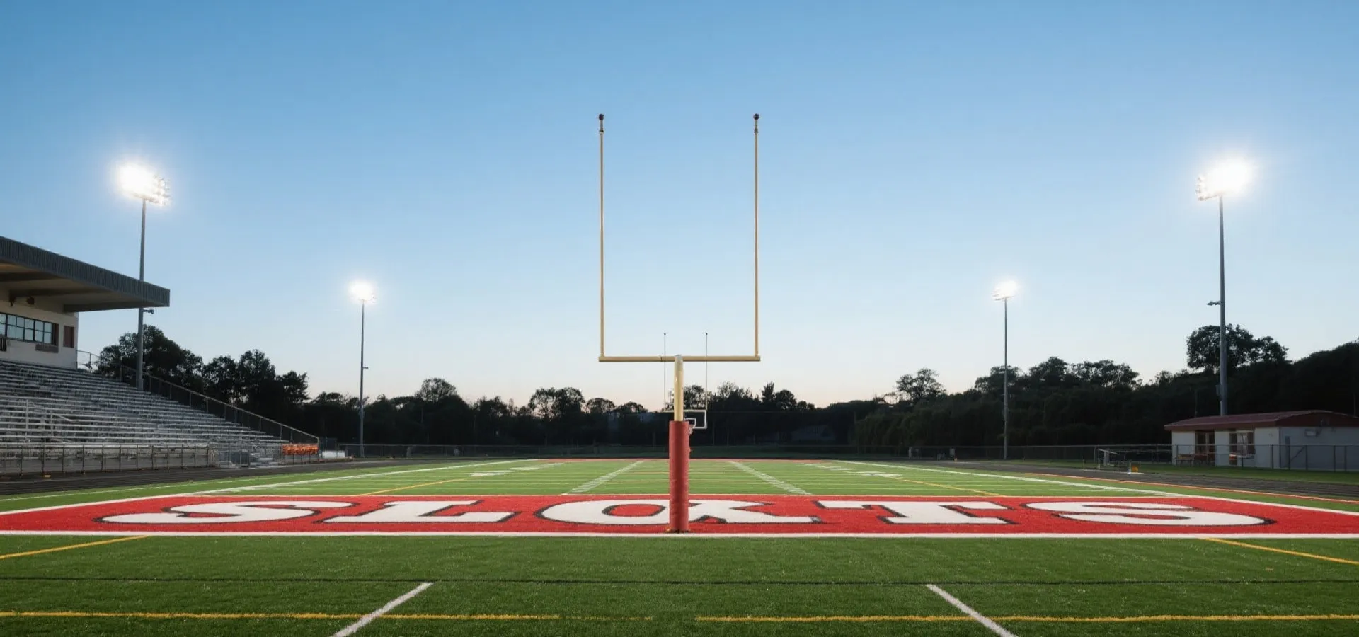 体育现场氛围图